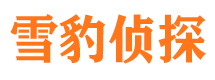 自流井市私家侦探